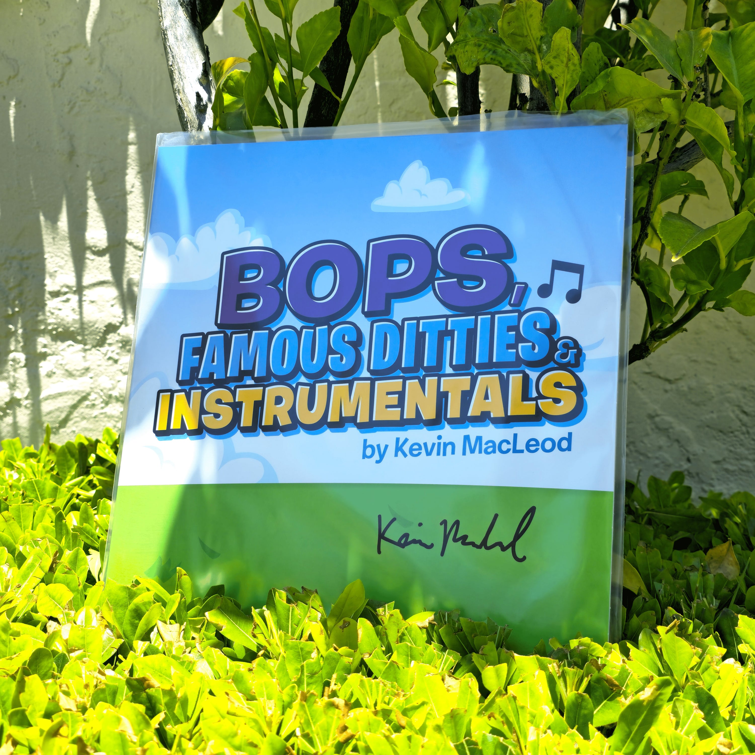 Bops, Famous Ditties & Instrumentals